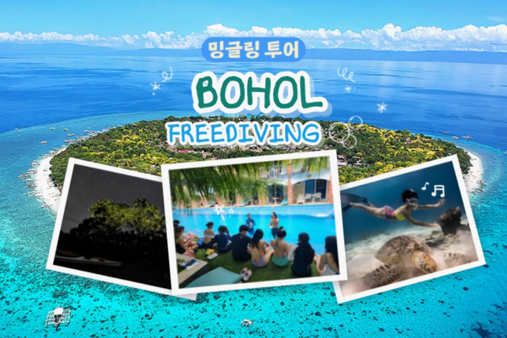 [밍글링 투어ㅣ프리다이빙] 보홀 5일 #베이직프리다이버 #반딧불이 #나팔링 #라메디리조트 #레이트체크아웃